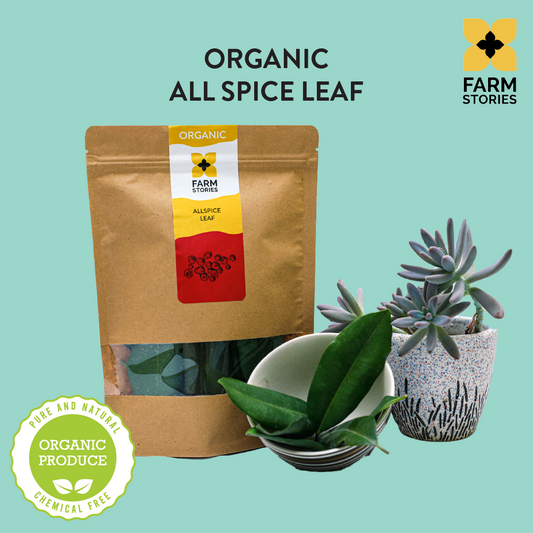 All Spice Leaf
