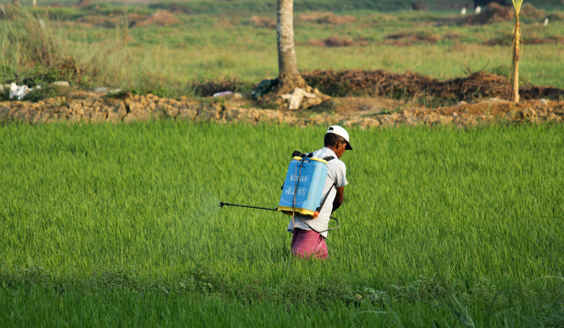 The Silent Danger: Long-Term Health Impacts of Chemical Pesticides in Daily Life