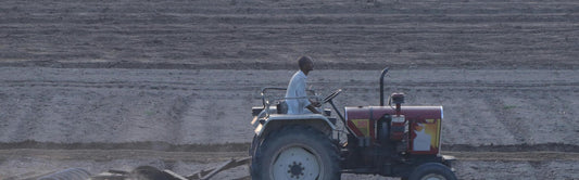 Embracing the Ancient Wisdom of Vedic Farming: Sustainability Rooted in India's Rich Cultural Heritage